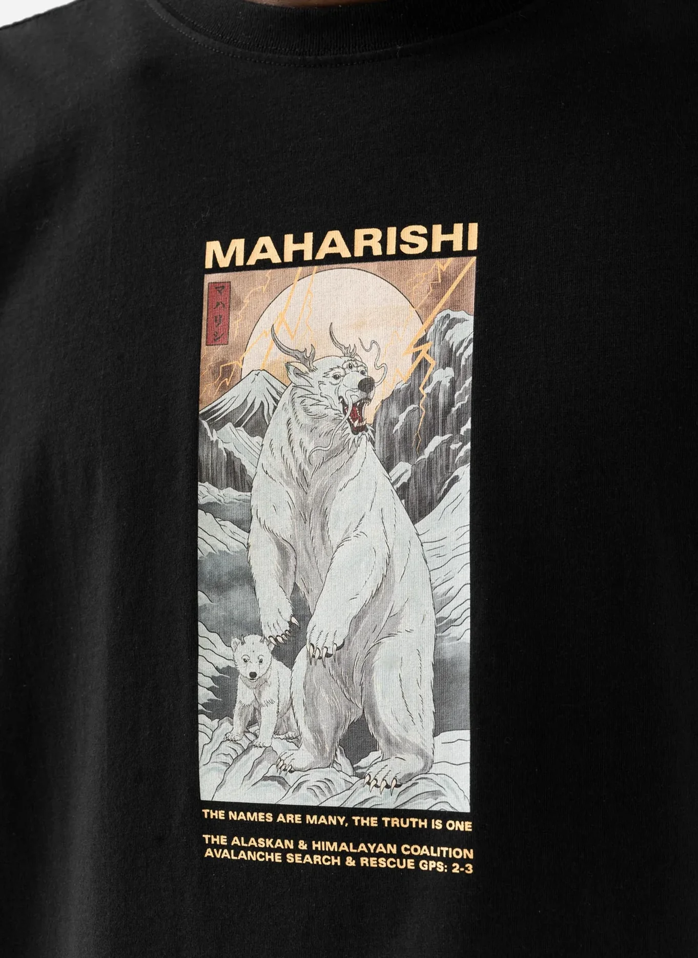 Футболка Alaskan Polar Bears S/S T-Shirt  Black