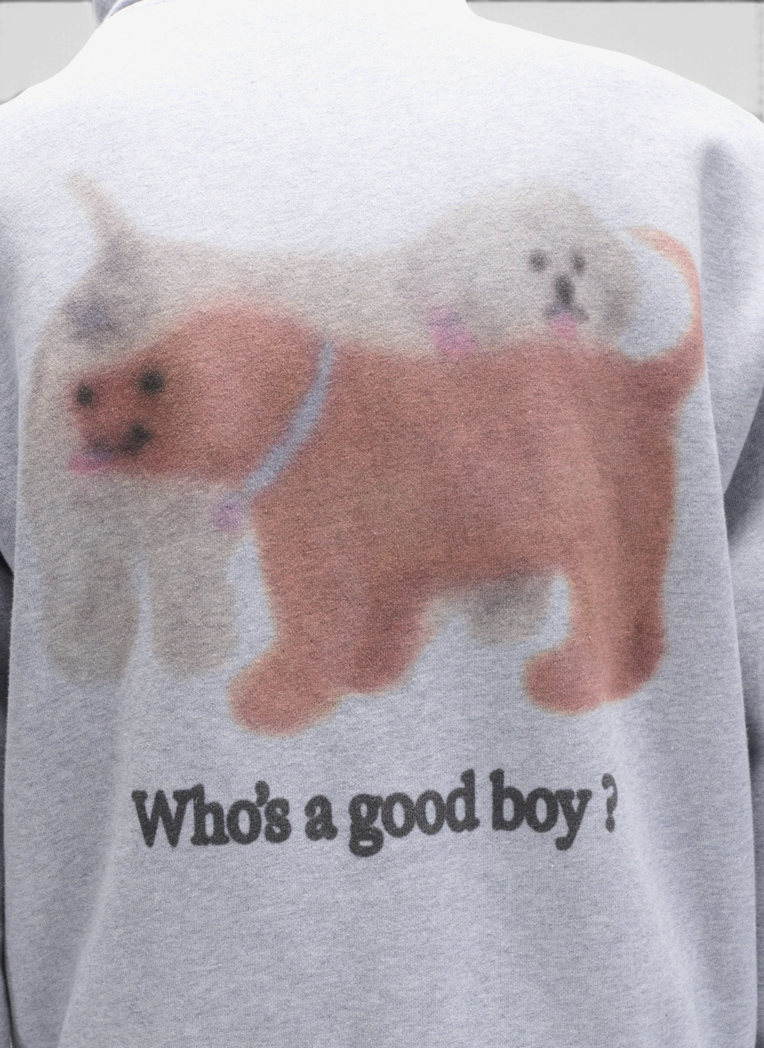 Худи на молнии Who's a good boy? Zip Hoodie Melange Grey
