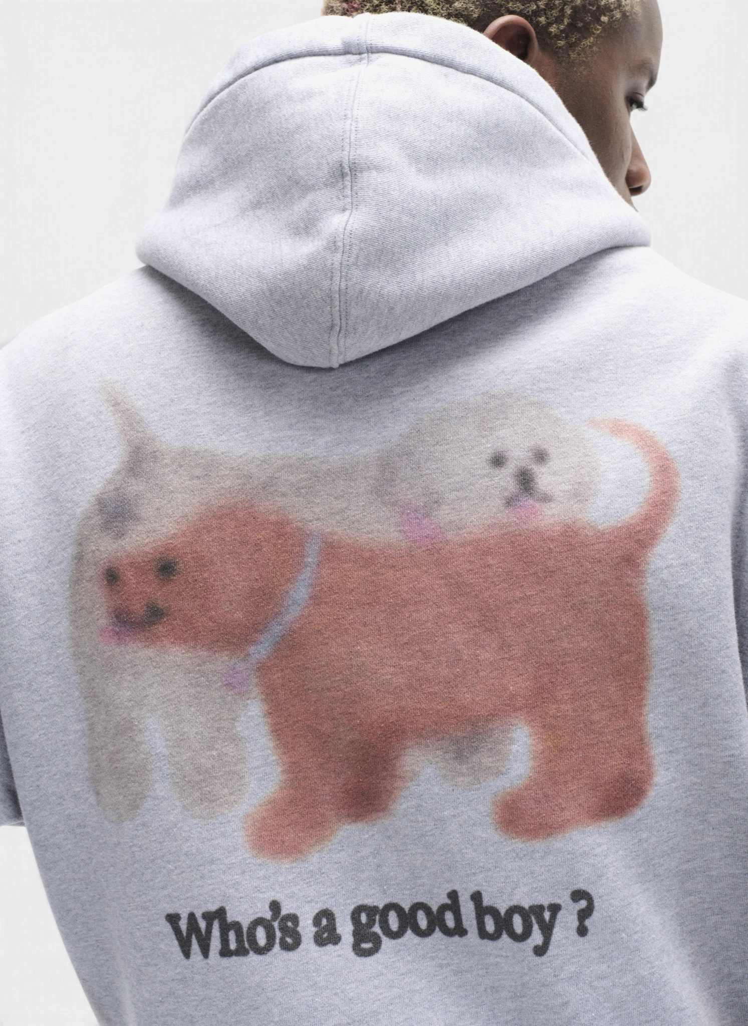 Худи на молнии Who's a good boy? Zip Hoodie Melange Grey