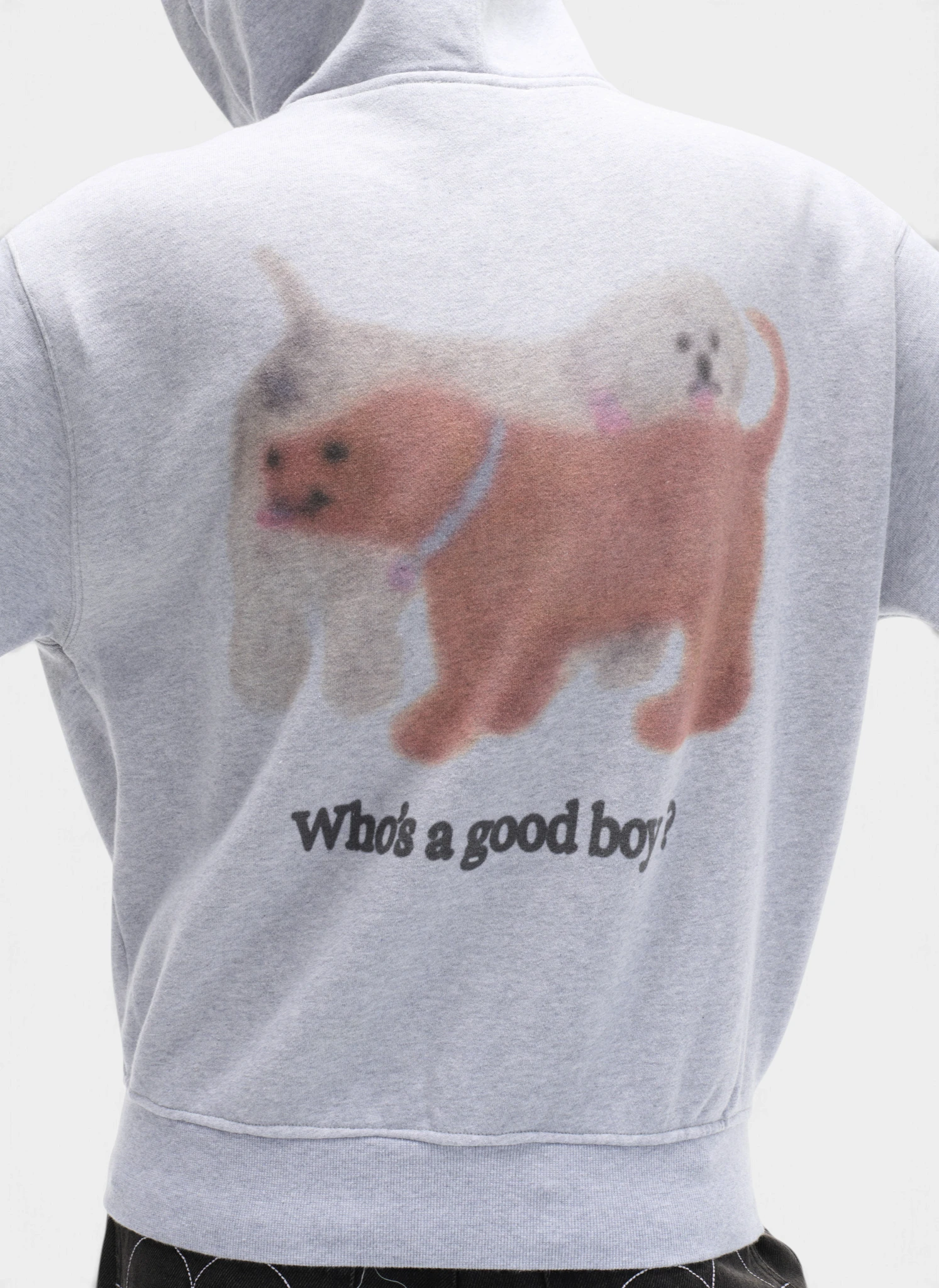 Худи на молнии Who's a good boy? Zip Hoodie Melange Grey