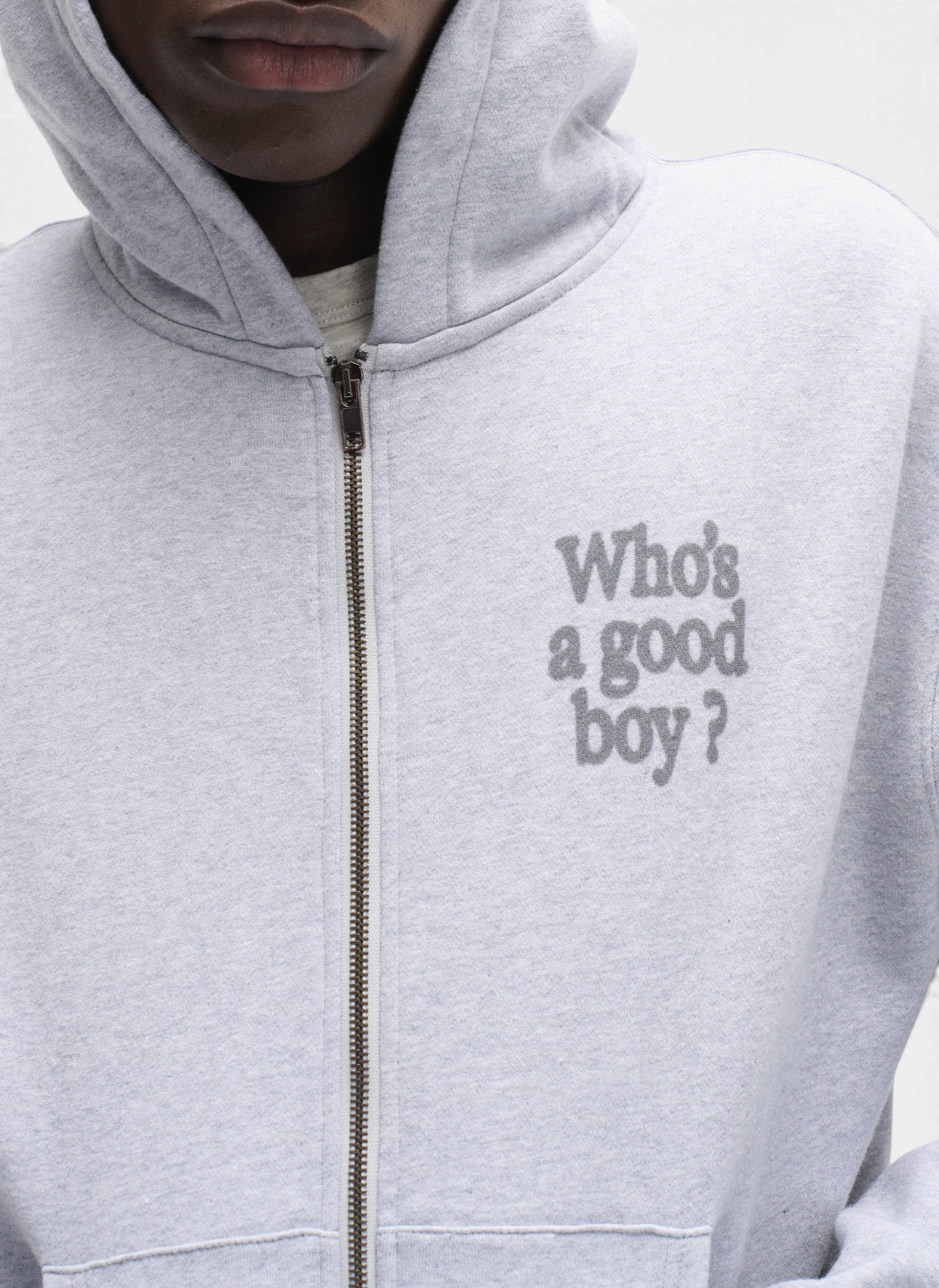 Худи на молнии Who's a good boy? Zip Hoodie Melange Grey