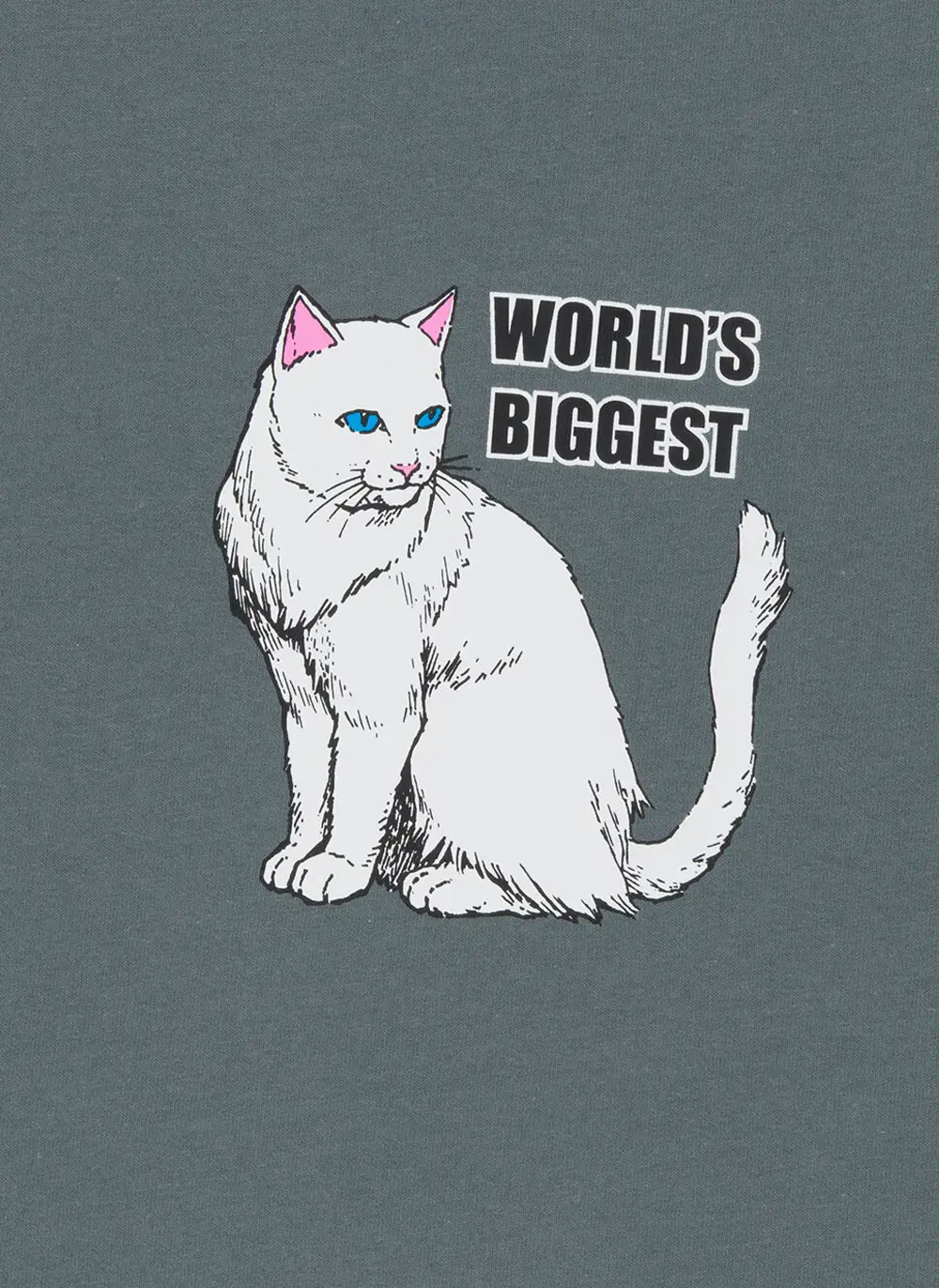 Футболка 'World Biggest Tee'