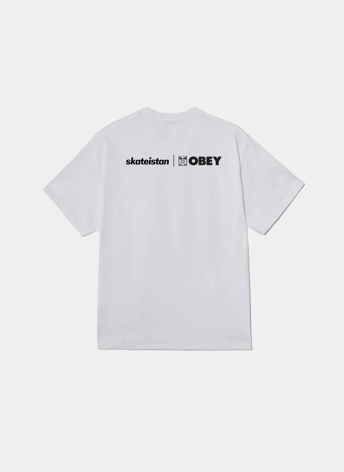 Футболка Skateistan / Obey Photo White