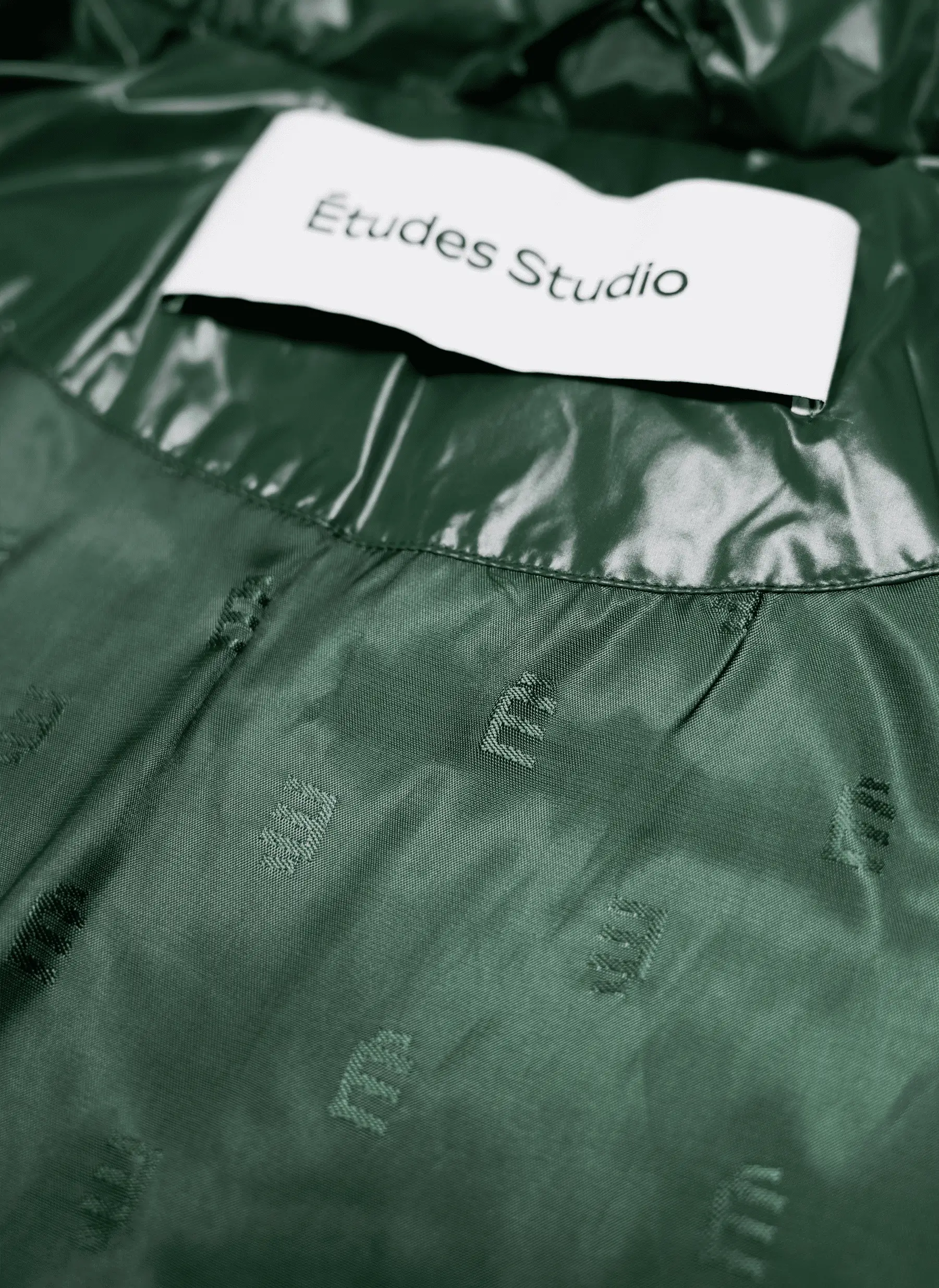 Пуховик BOXY DOWN JACKET SHINY