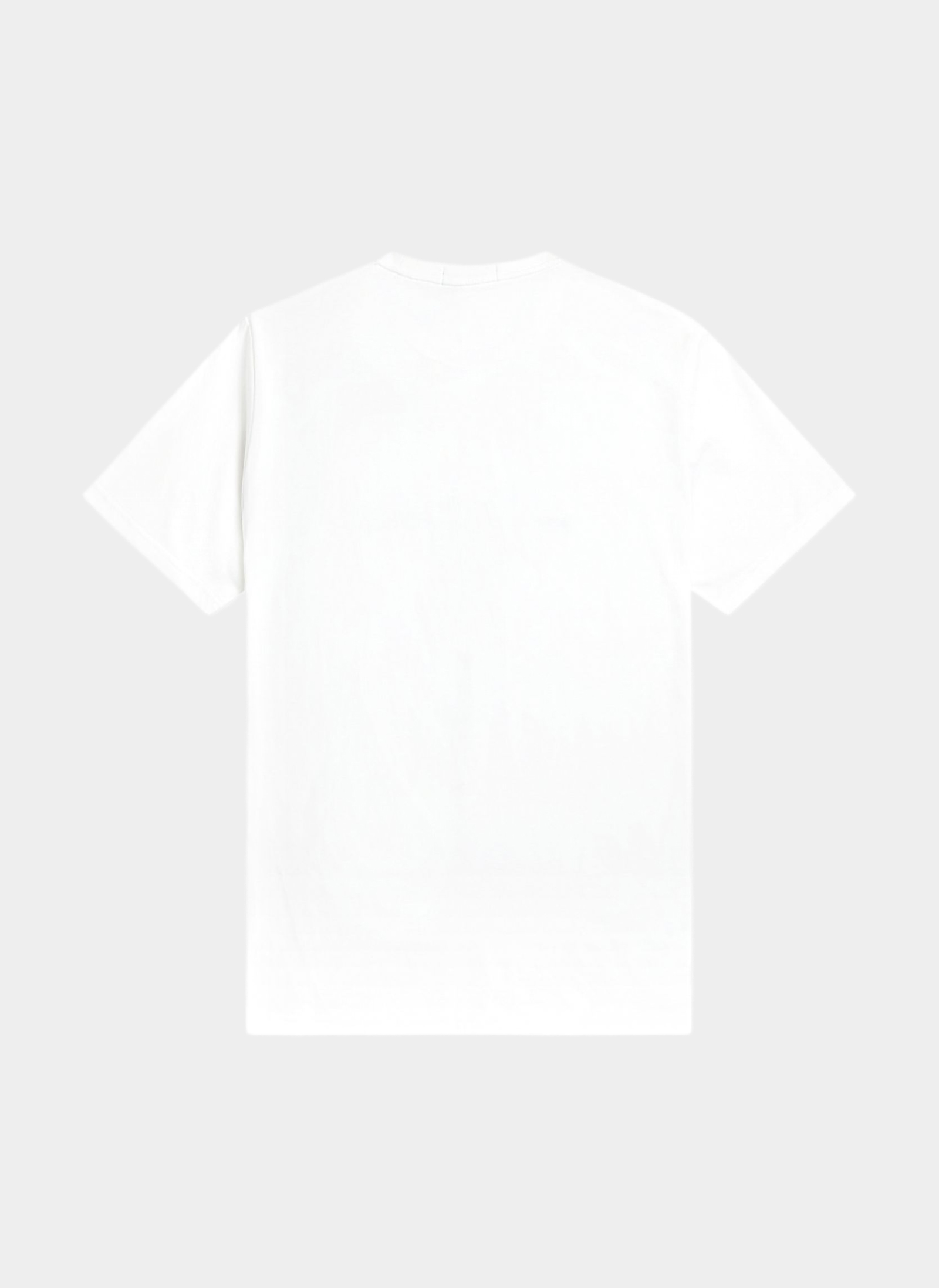 Футболка ‘Embroidered T-Shirt’ 100 Футболка ‘Embroidered T-Shirt’ 100