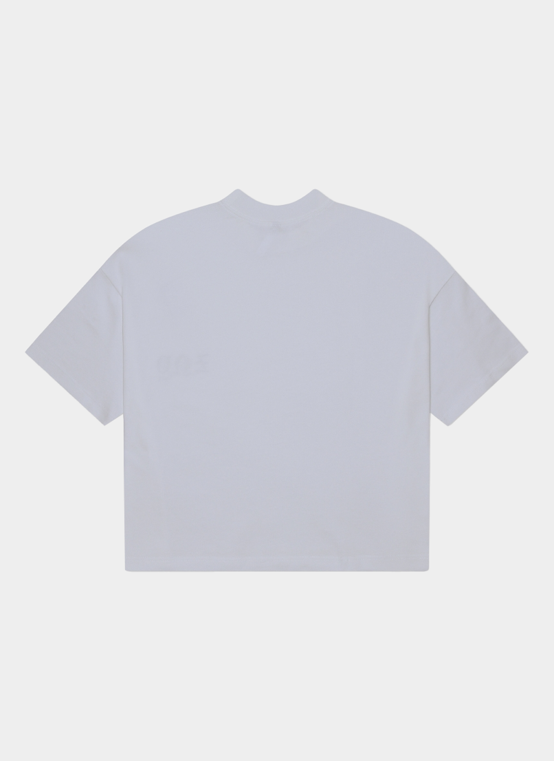 Футболка ZNY GOTHIC GREY LOGO Grey