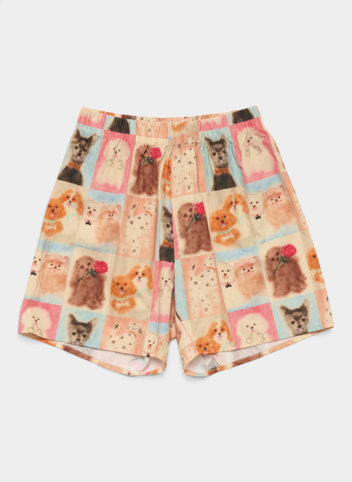 Трусы-боксеры Bark Like You Want It Trunks Allover