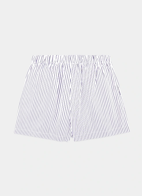 Шорты SRC Poplin Short Blue Striped