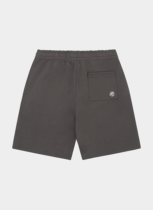 Шорты Small Arch Logo Shorts
