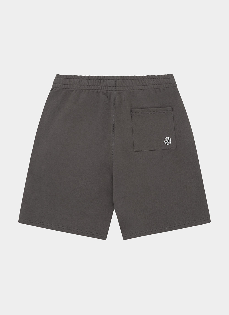 Шорты Small Arch Logo Shorts