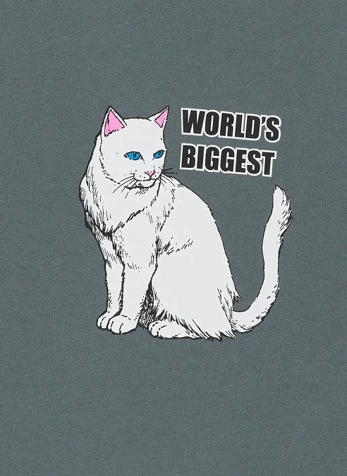 Футболка 'World Biggest Tee'